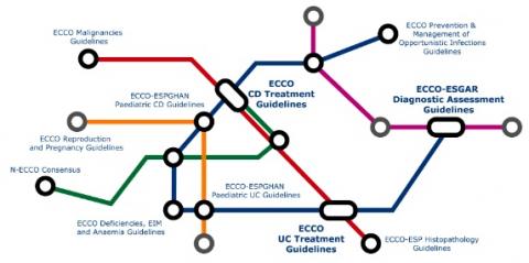 long Ontspannend Vergissing ECCO GRADE Crohn's Disease (CD)Treatment Guidelines | efcca.org